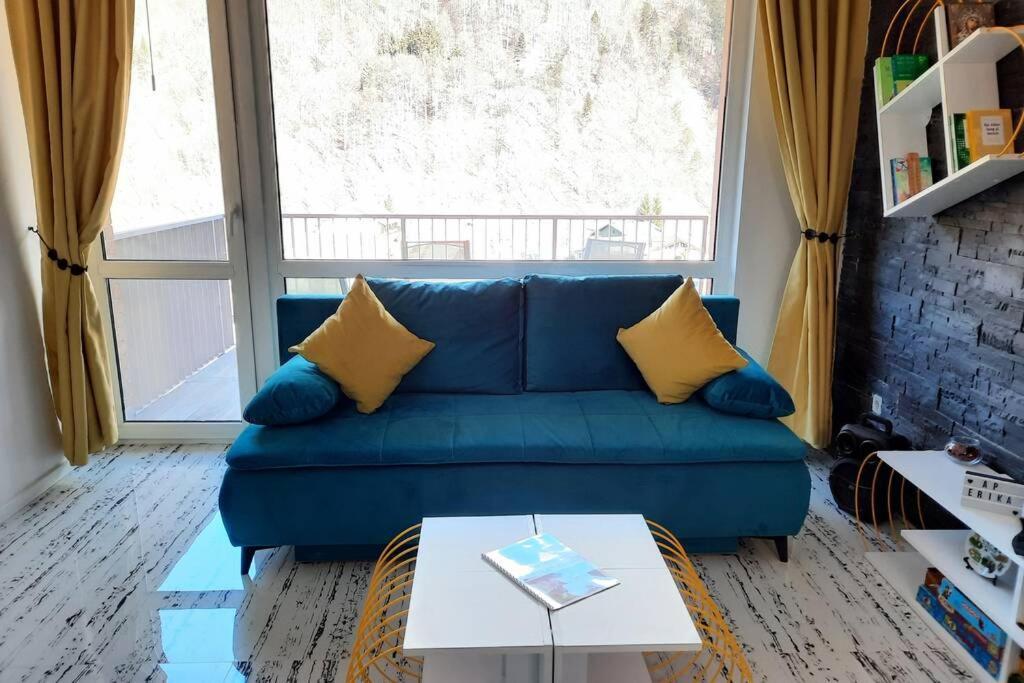 Apartament Erika Sinaia Extérieur photo