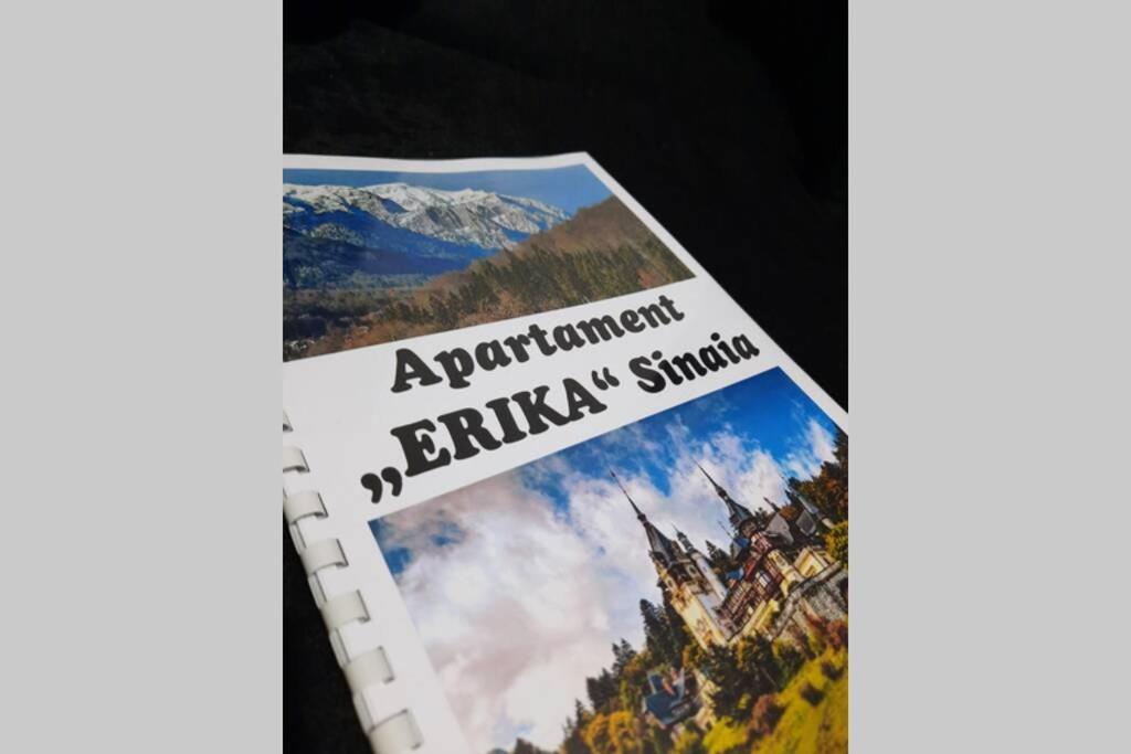 Apartament Erika Sinaia Extérieur photo