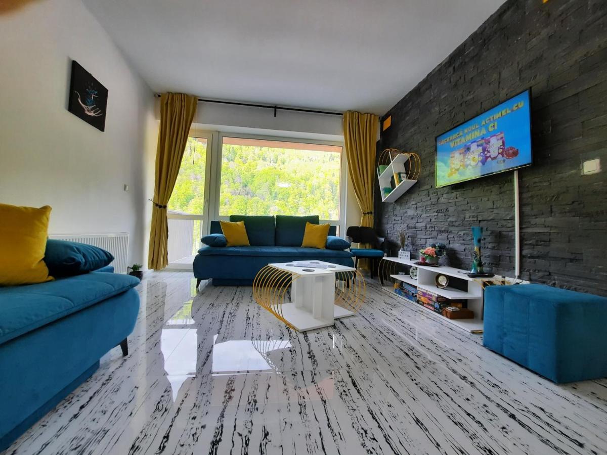 Apartament Erika Sinaia Extérieur photo