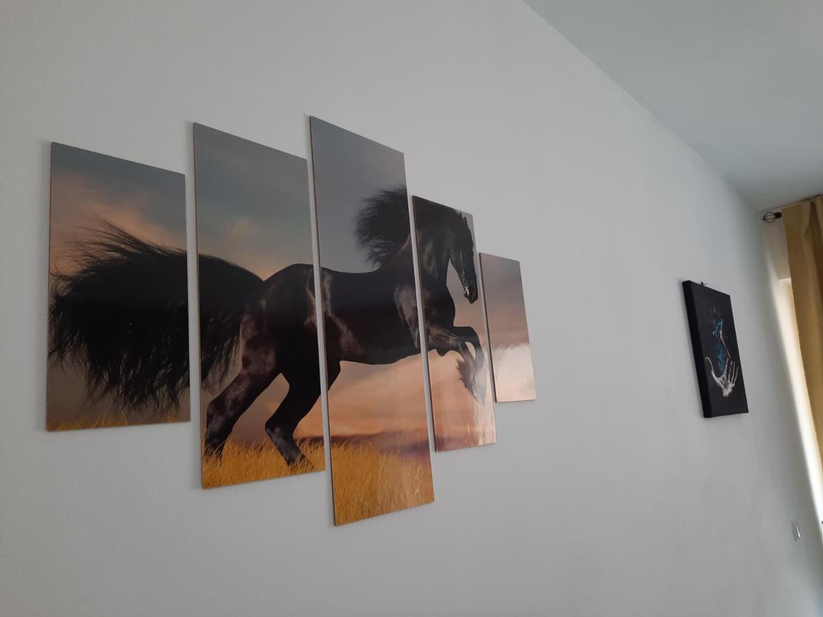Apartament Erika Sinaia Extérieur photo