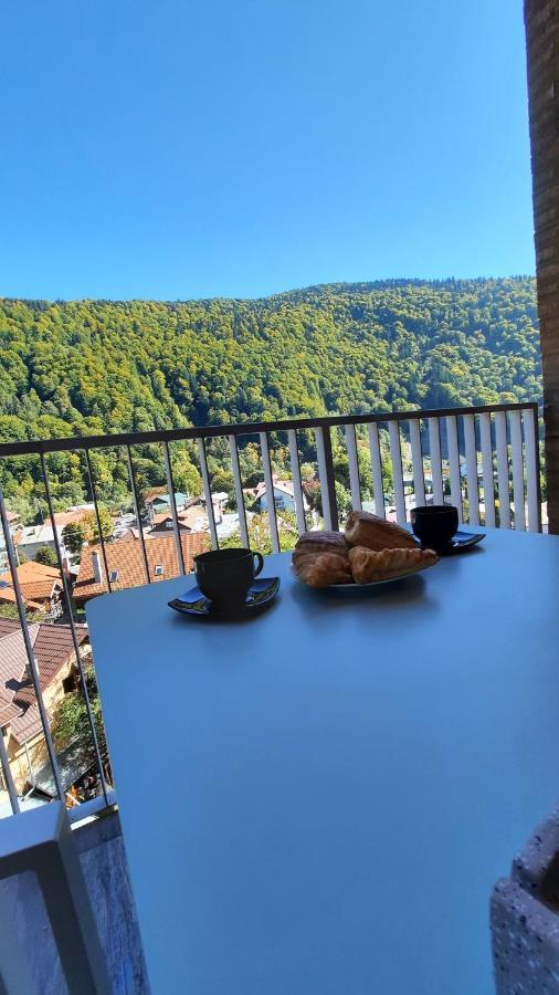 Apartament Erika Sinaia Extérieur photo