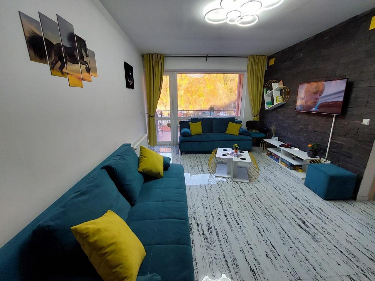 Apartament Erika Sinaia Extérieur photo