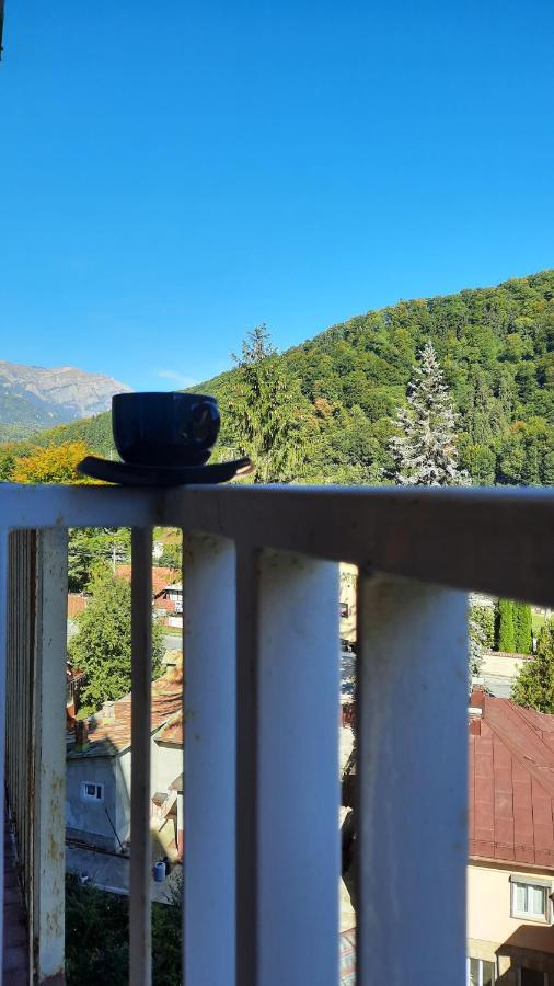Apartament Erika Sinaia Extérieur photo