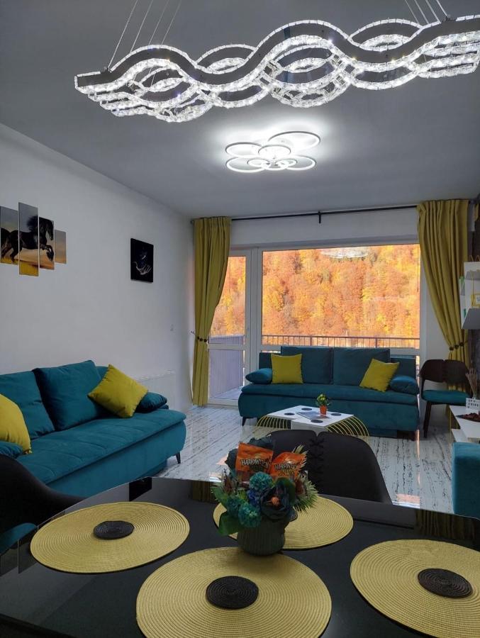 Apartament Erika Sinaia Extérieur photo