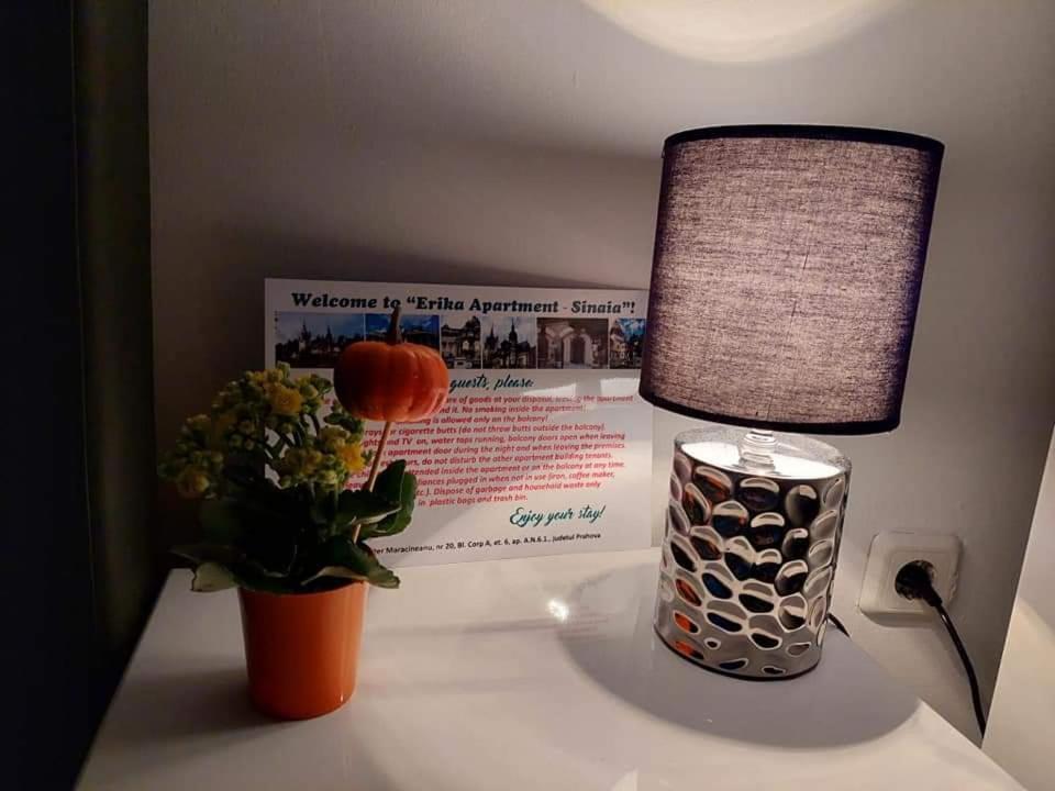 Apartament Erika Sinaia Extérieur photo